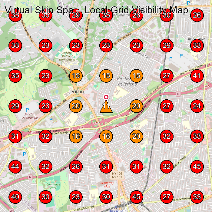 Virtual Skin Spa GeoGrid visibility map for Medical Spa in Jericho